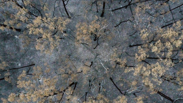 Australia has suffered a litany of natural disasters in recent years including historic bushfires.