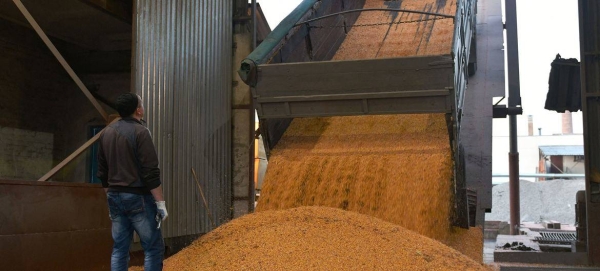 A truck unloads corn grain at a processing factory in Ukraine.