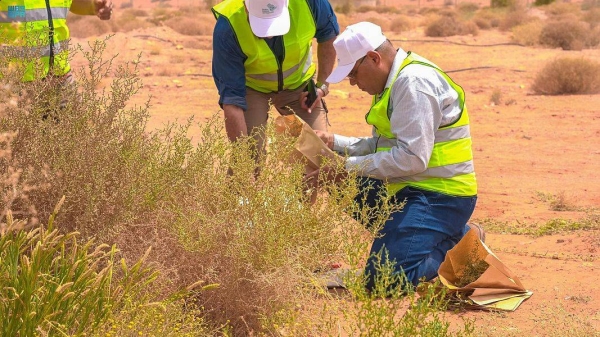 Saudi Arabia’s ambitious program to plant over 10 billion trees in the country are under way and experts are exploring all possible locations in the Kingdom to start implementation phase.