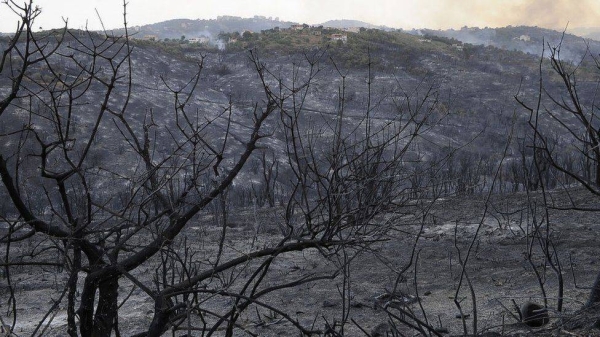 Scorched mountain sides and tress in Tizi Ouzou, northern Algeria, caused by forest fires.. jpg
