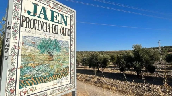 Jaén province generates half of all Spanish oil