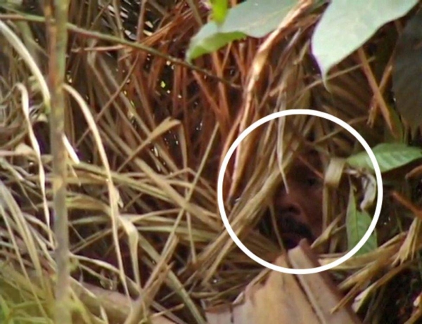 The man's face was briefly captured on camera by anthropologist Vincent Carelli.