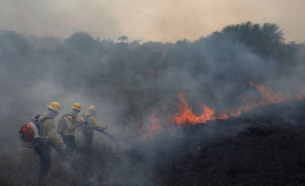 Brazil's Amazon sees worst August fires in over a decade