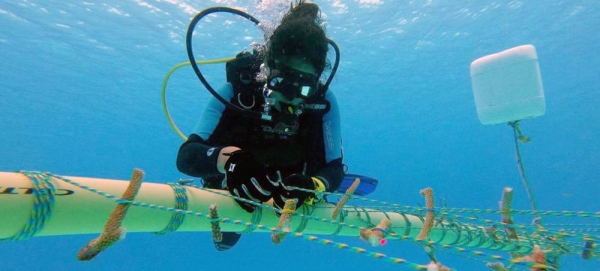 Biologists Maria Fernanda Maya and Mariana Gnecco from NGO Blue Indigo evaluate the health of the coral reef in San Andrés Island. — courtesy Blue Indigo