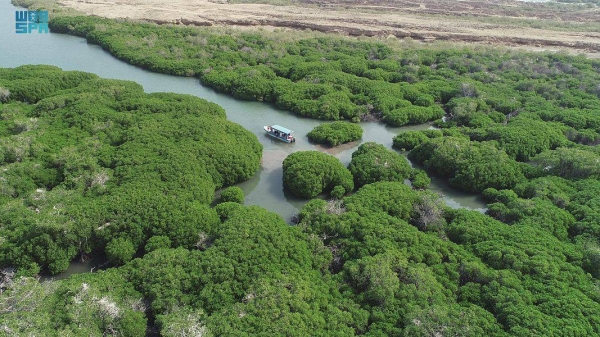 Thirty-Three percent of Saudi citizens around the Kingdom believe that the deterioration of vegetation cover is caused by human behavior, according to a public opinion poll carried out by the National Center for Public Opinion Surveys under King Abdulaziz Center for National Dialogue.