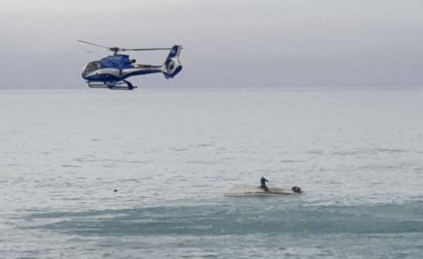 5 dead after New Zealand boat flips in possible whale strike