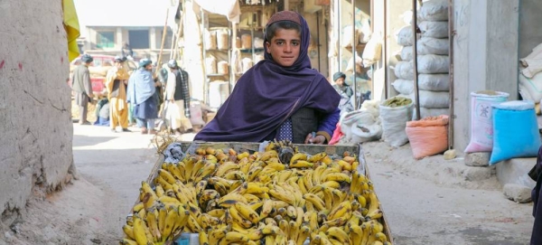 A 12-year-old boy, who does not go to school, sells bananas in Uruzgan Province in western Afghanistan. — courtesy UNICEF