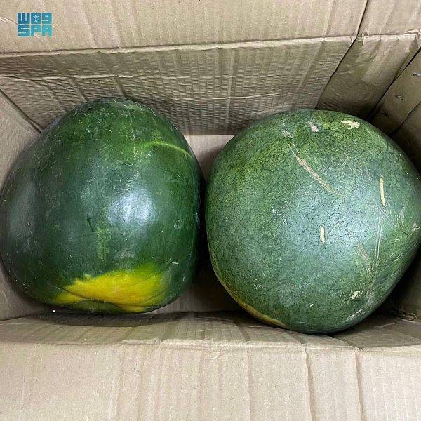 Five persons, including two Saudis and three Syrians, were arrested with a huge cache of narcotic pills in Riyadh. They were trying to smuggle in a total of 765,000 amphetamine tablets that were hidden inside the shipment of watermelons.