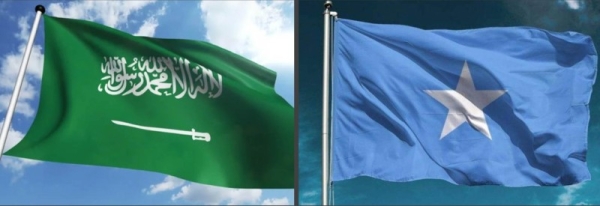 Somalia has expressed its solidarity with Saudi Arabia in the wake of the statements issued regarding the decision of the Organization of Petroleum Exporting Countries (OPEC  ).