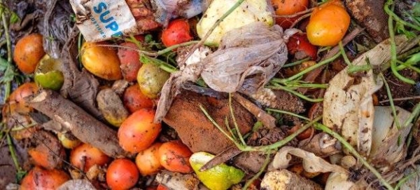 Food waste, pictured here at Lira market in Uganda, is a significant challenge for farmers and vendors alike. — courtesy FAO/Sumy Sadurni