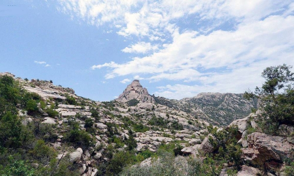 Tanomah Mountains displays natural art paintings that adorn the slopes carved by monsoons and heavy rains thousands of years ago, which formed rare natural inscriptions and sculptures.