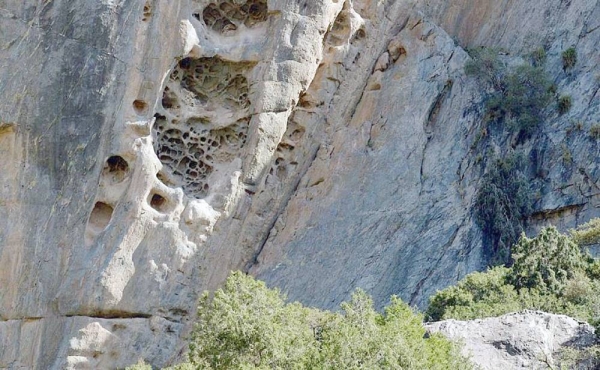 Tanomah Mountains displays natural art paintings that adorn the slopes carved by monsoons and heavy rains thousands of years ago, which formed rare natural inscriptions and sculptures.