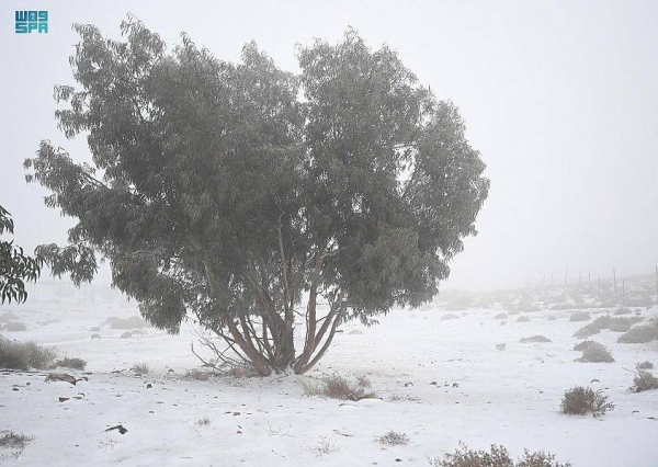 Snow blankets Saudi Arabia’s northern mountains