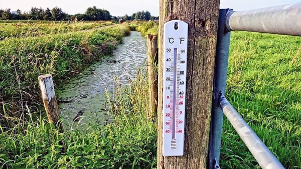 Some European countries recorded January temperatures that would normally occur in late spring. — courtesy Mabel Amber