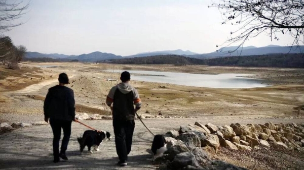 Two people walk their dogs near the partially dry Lake Montbel, southwestern France, Tuesday. — courtesy Valentine Chapuis/AFP