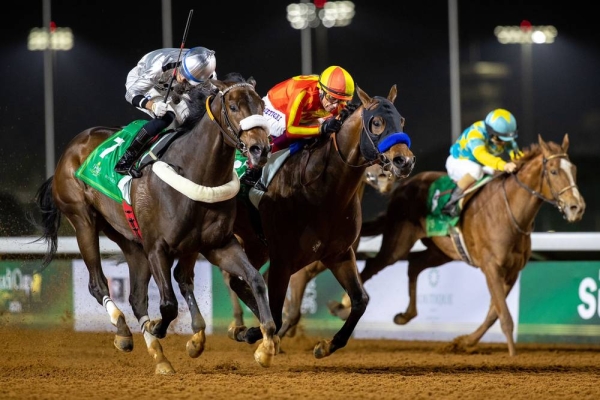 Commissioner King, owned by Faisal Mohammed Abedlhadi Aljadheei, won the Saudi Derby Cup, the most important prize after the international race with a prize of $900,000.