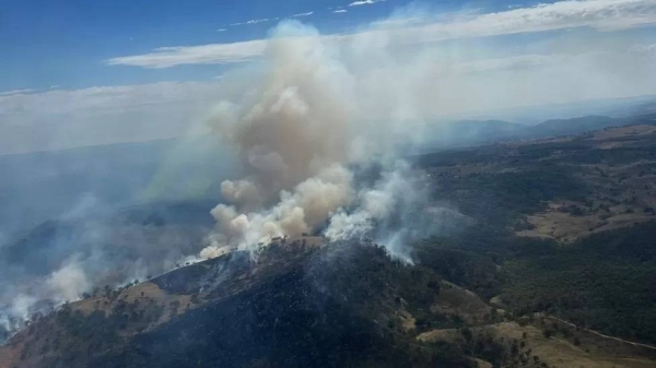 A major blaze near Mudgee, New South Wales, has burned more than 2,000 hectares since Sunday.