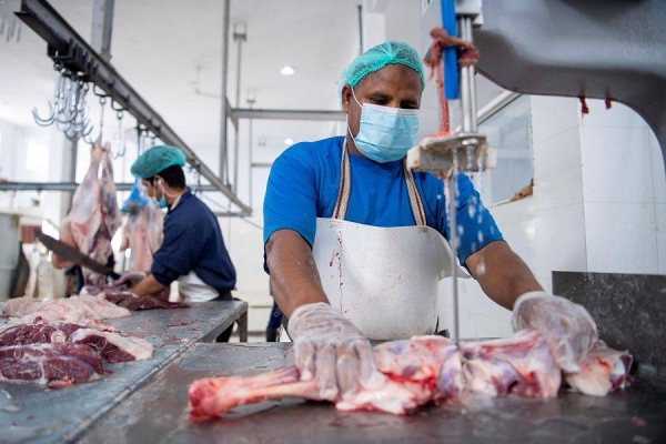Approximately 600,000 tons of meat is wasted annually in Saudi Arabia