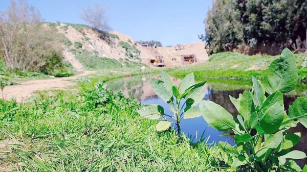 From wasteland to protected wetland: Here’s how the Gaza Valley is bouncing back. — courtesy Marta Vidal