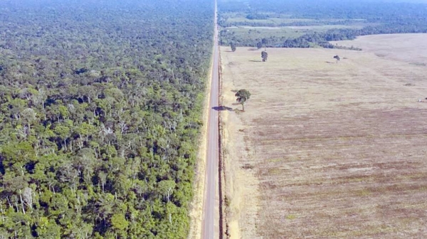 Highway BR-163 stretches between the Tapajos National Forest, left, and a soy field in Belterra, Para state, Brazil on Nov. 25, 2019. — courtesy Leo Correa