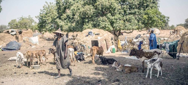 Banguétaba settlement in the Mopti region of Mali, where families from semi nomadic villages who fled violence with their herds are now living. — courtesy UNICEF/Harandane Dicko