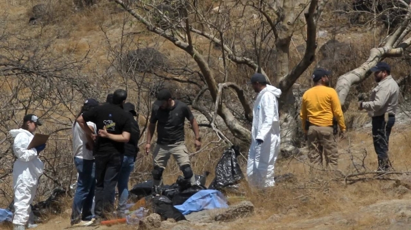 Forensic experts work with several bags of human remains extracted from the bottom of a ravine by a helicopter