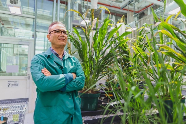 Professor Salim Al-Babili-Kaust.