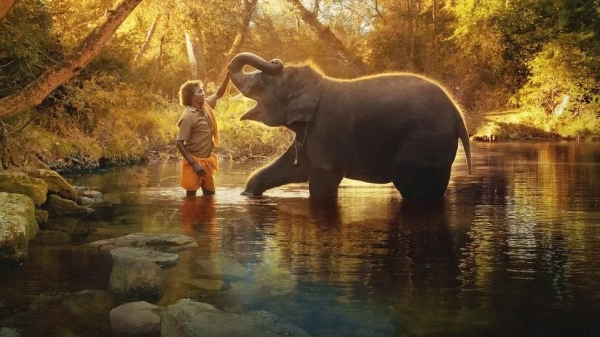 Elephant Whisperers: زوجان هنديان في فيلم وثائقي حائز على جائزة الأوسكار يقاضي صانعي الأفلام