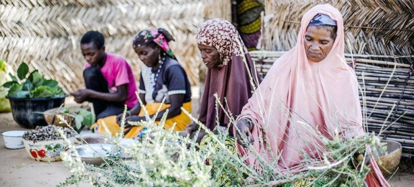 Women in Niger are practicing the sustainable harvesting of forest resources. (file). — courtesy FAO/Luis Tato