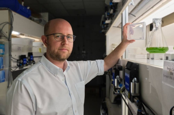 Lauersen, an expert in algal synthetic biology and metabolic engineering, leads one of the only dedicated algal biotechnology labs in the Arabian Peninsula. His team isolates, identifies and characterizes algal species adapted to Saudi Arabia’s extreme temperatures and cultivates these local strains in 22 purpose-built bioreactors.