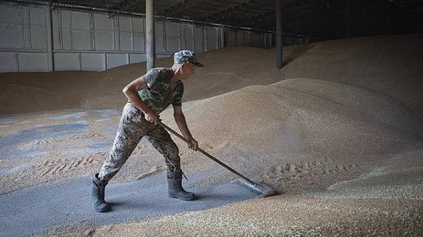 Ukrainian grain is currently subject to only-transit bans across the European Union.