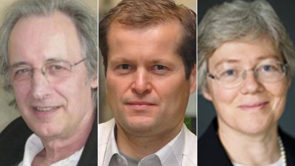 Pierre Agostini, Ferenc Krausz and Anne L'Huillier shared this year's physics prize