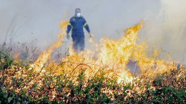 A firefighter stands behind flames during a wildfire in the Avanta area, near Egnatia Odos motorway, in Alexandroupolis, Thrace, northern Greece. — courtesy  EPA