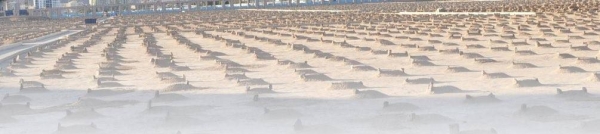 The Riyadh Municipality has begun work of a program to develop and organize 11 cemeteries in the Saudi capital.