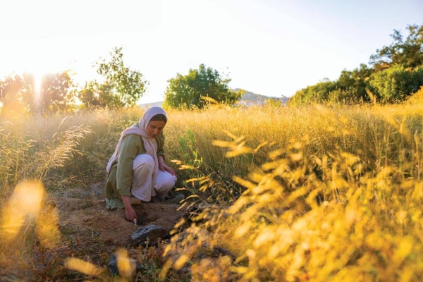 The third Saudi Green Initiative Forum’s program will focus on multiple key themes, including innovating and scaling up clean energy solutions, the Red Sea’s ecosystem, financing climate action, and protecting terrestrial and marine areas in the Kingdom. (Supplied)