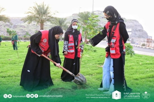 Courtesy photo of the participation of 70 volunteers, during the implementation of the Holy Capital Municipality a volunteer initiative to plant 100 shrubs in Kudai Park.