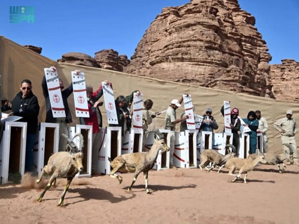 The program aims to restore ecosystems and enhance biodiversity across Saudi Arabia, aligning with the Saudi Green Initiative