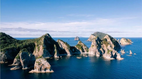 The man attempted to swim to the Alderman Islands off the North Island's east coast