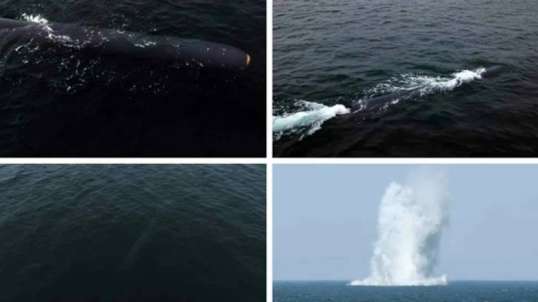 North Korean state media published these images of the underwater nuclear system when the drones were revealed last April