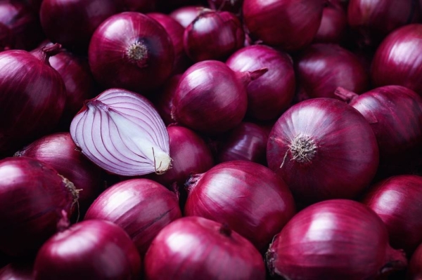 Saudi market is not vulnerable to a shortage of onion crops, as the Kingdom’s total consumption reached 702000 tons in 2023, of which local production amounted to about 365000 tons, constituting 52 percent, while the deficit was covered by imports from abroad.
