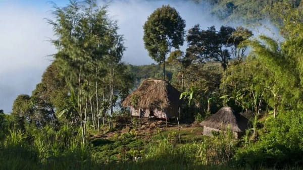 The Highlands region has long struggled with tribal violence