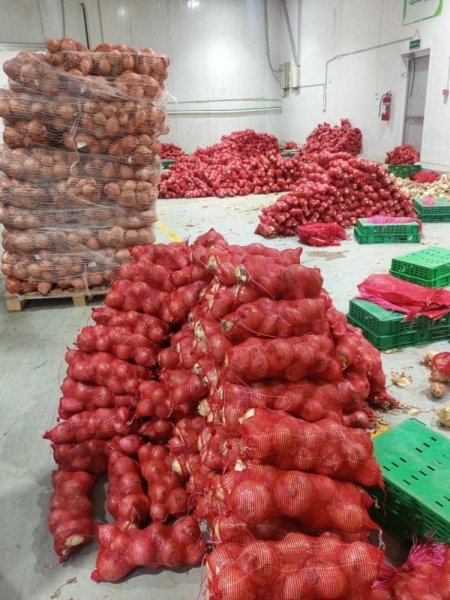 Inspection teams from the ministry raided a warehouse of a commercial establishment in southern Riyadh that hoarded more than eight tons of onions. 