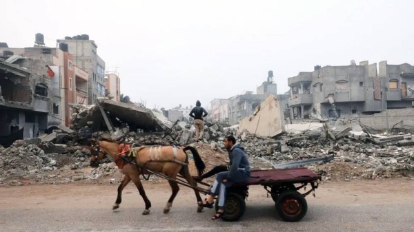 A man rides a horse-pulled cart in Rafah. — courtesy Getty Images