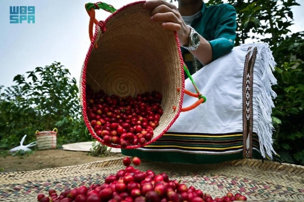 The Sustainable Agricultural Rural Development Program, known as 'Reef Saudi,' is making strides in enhancing the Kingdom's coffee sector.