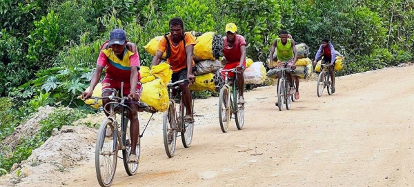Traders in Madagascar, one of the most under-developed countries in Africa, transport charcoal to market. — courtesy UN News/Daniel Dickinson