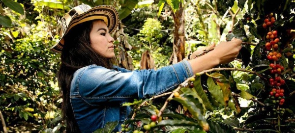 Deyanira Cordoba is one of many coffee-growing women of Tablón de Gómez, in the Nariño region of Colombia. — courtesy UN Women/Ryan Brown