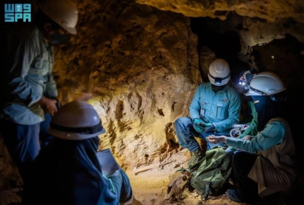 Saudi Arabia is home to 1,826 caves, formed by natural processes in limestone areas under historically rainy climatic conditions.