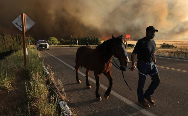 A resident evacuates his horse as the Corral Fire bears down on ranches west of Tracy, California, on June 1, 2024