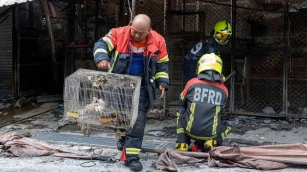 The fire killed the animals as it ripped through more than a 100 shops