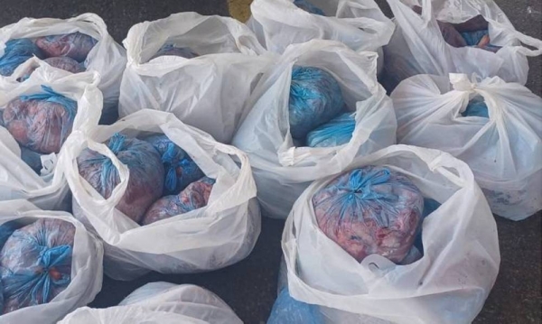 The Jeddah Governorate Mayoralty foiled the smuggling of 1,243 rotten carcasses at five governorate border checkpoints during the Eid Al-Adha holidays.

